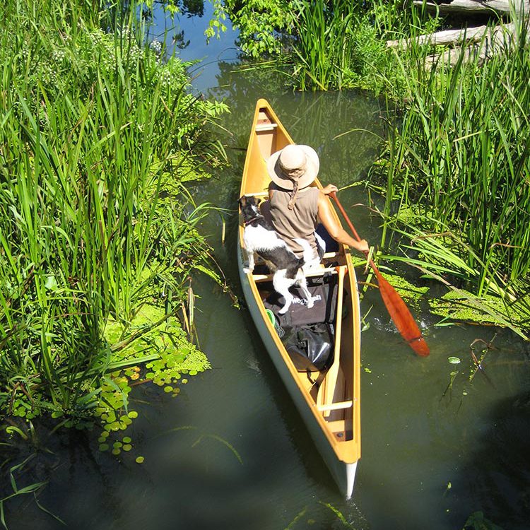 geführte Kanutour durch den Trockenpolder Lunow-Stolpe, Foto: M.Voigt