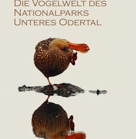 „Die Vogelwelt des Nationalparks Unteres Odertal“ von Winfried Dittberner (Quelle: Natur+Text)