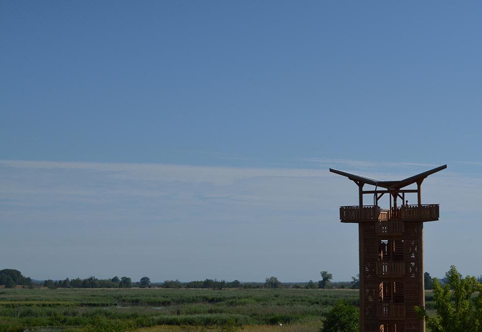 zweiter neuer Beobachtungsturm bei Mescherin mit Blick auf den Staffelder Polder (Deichschlitzungen) und auf die Westoder, Foto: M.Voigt