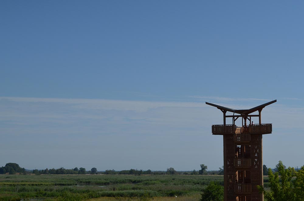 zweiter neuer Beobachtungsturm bei Mescherin mit Blick auf den Staffelder Polder (Deichschlitzungen) und auf die Westoder, Foto: M.Voigt