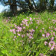 Blick in die Polder | Foto: Michael Voigt