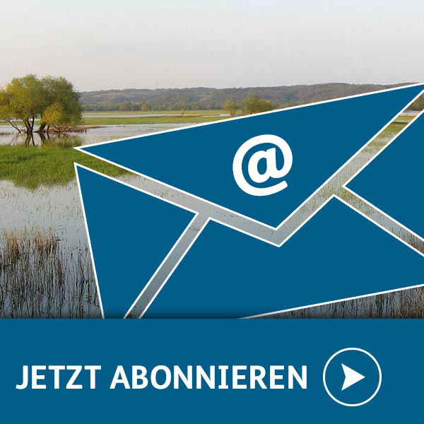 Newsletter abonieren