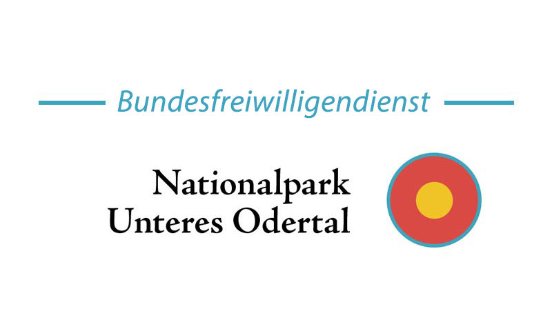 Bundesfreiwilligendienst