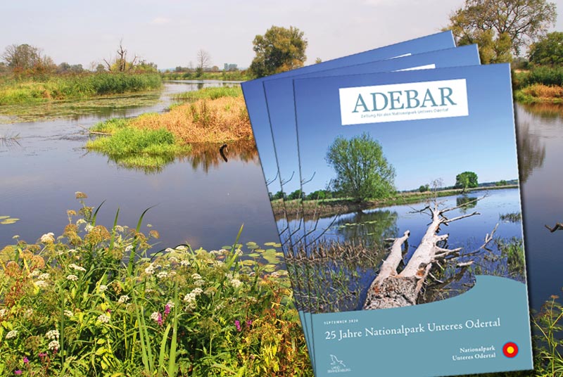 Jubiläums-ADEBAR 25 Jahre Nationalpark