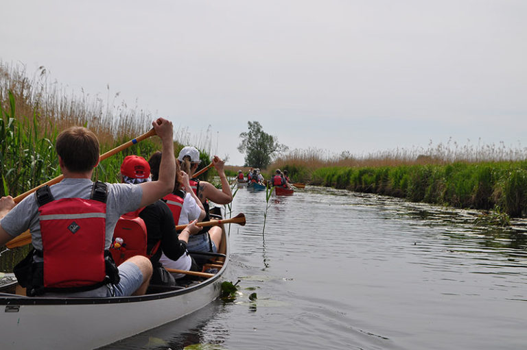 Nationalpark Unteres Odertal – Offizielle Website der