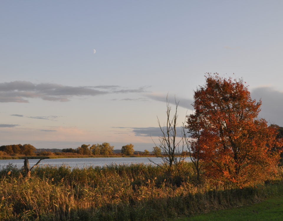 Polder, Deich, Oder, Wasser, Sonnenaufgang, Stimmungsbild, Weite