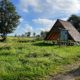 Wasserwanderrastplatz, Wassertourismus, Outdoor, Biwak, Zelten, Unteres Odertal
