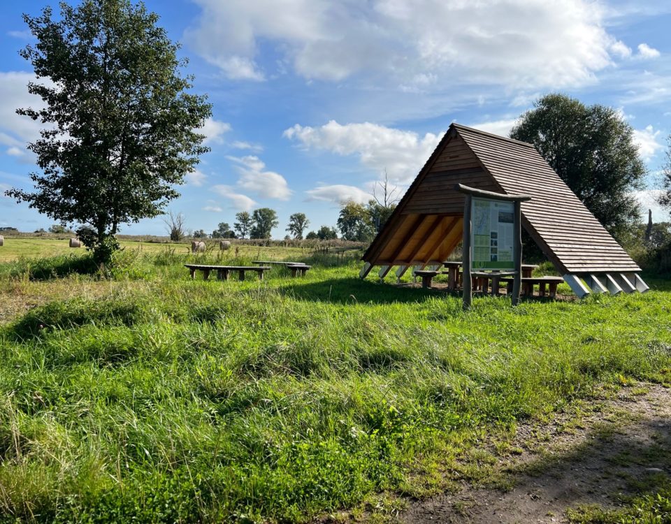 Wasserwanderrastplatz, Wassertourismus, Outdoor, Biwak, Zelten, Unteres Odertal