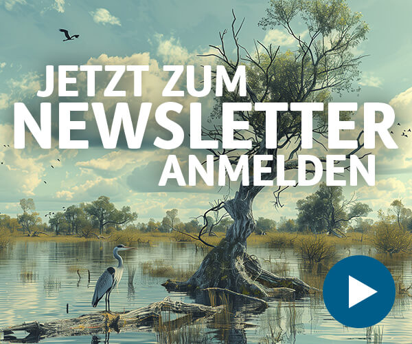 Jetzt zum Newsletter anmelden