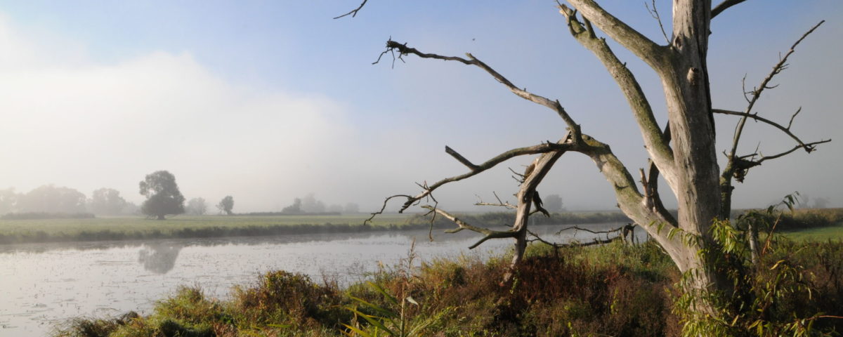 Foto: Milena Kreiling, Lizenz: Naturschutzfonds Brandenburg