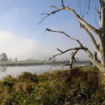 Foto: Milena Kreiling, Lizenz: Naturschutzfonds Brandenburg