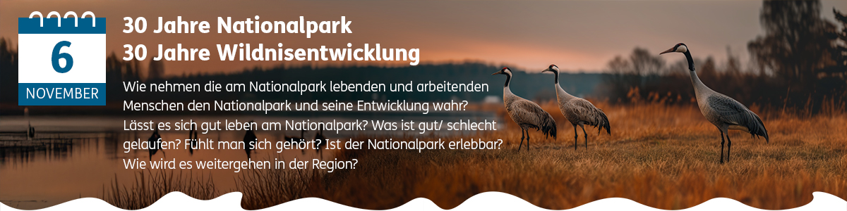Alle Veranstaltungen und Programmpunkte der Kranichwoche 2025 im Nationalpark Unteres Odertal anzeigen